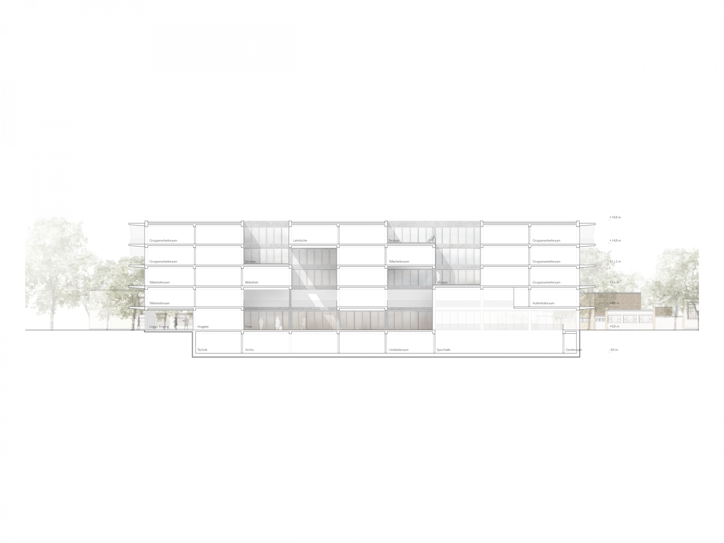 Longitudinal section 