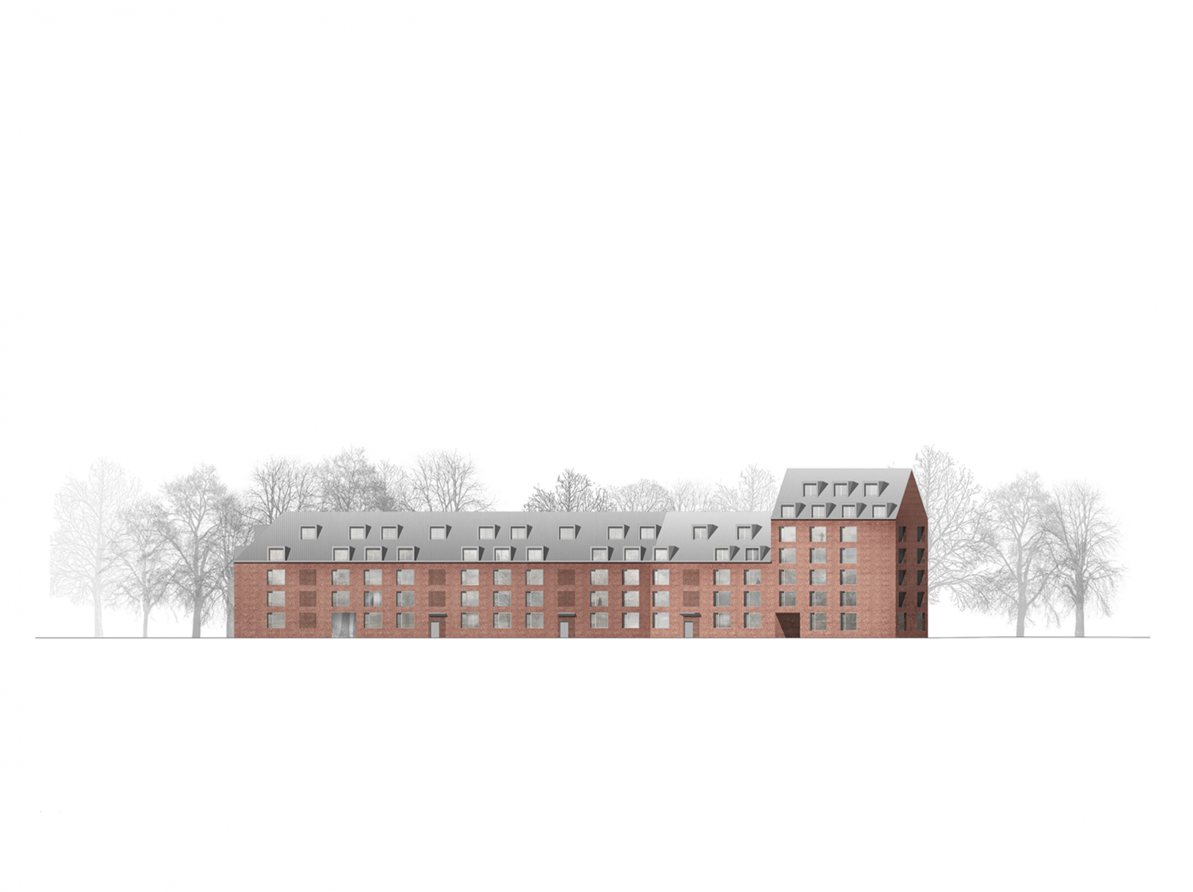 bfm_BBP_elevation north 