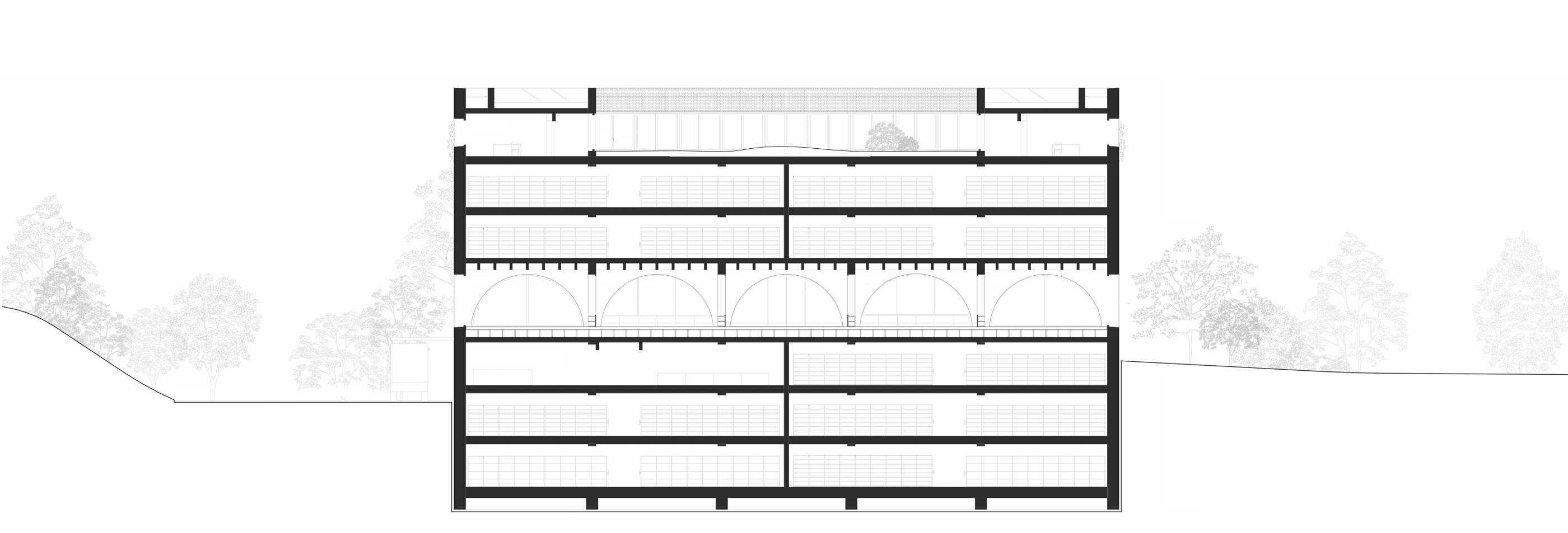 bfm_sak_section logitudinal 
