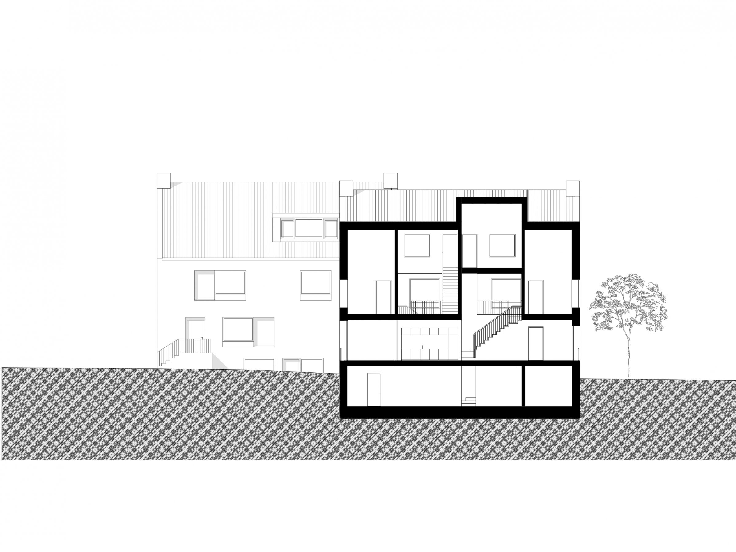 POT longitudinal section 